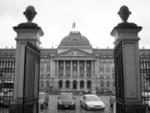 small-11-img_4035.jpg