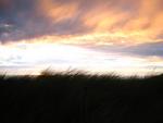 small-13-img_4413